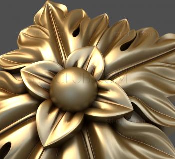 3D model Physalis (STL)